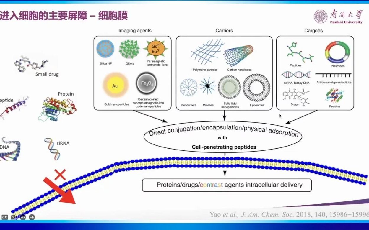 20220821南开大学化学学院刘阳细胞器靶向聚合物纳米药物体系哔哩哔哩bilibili