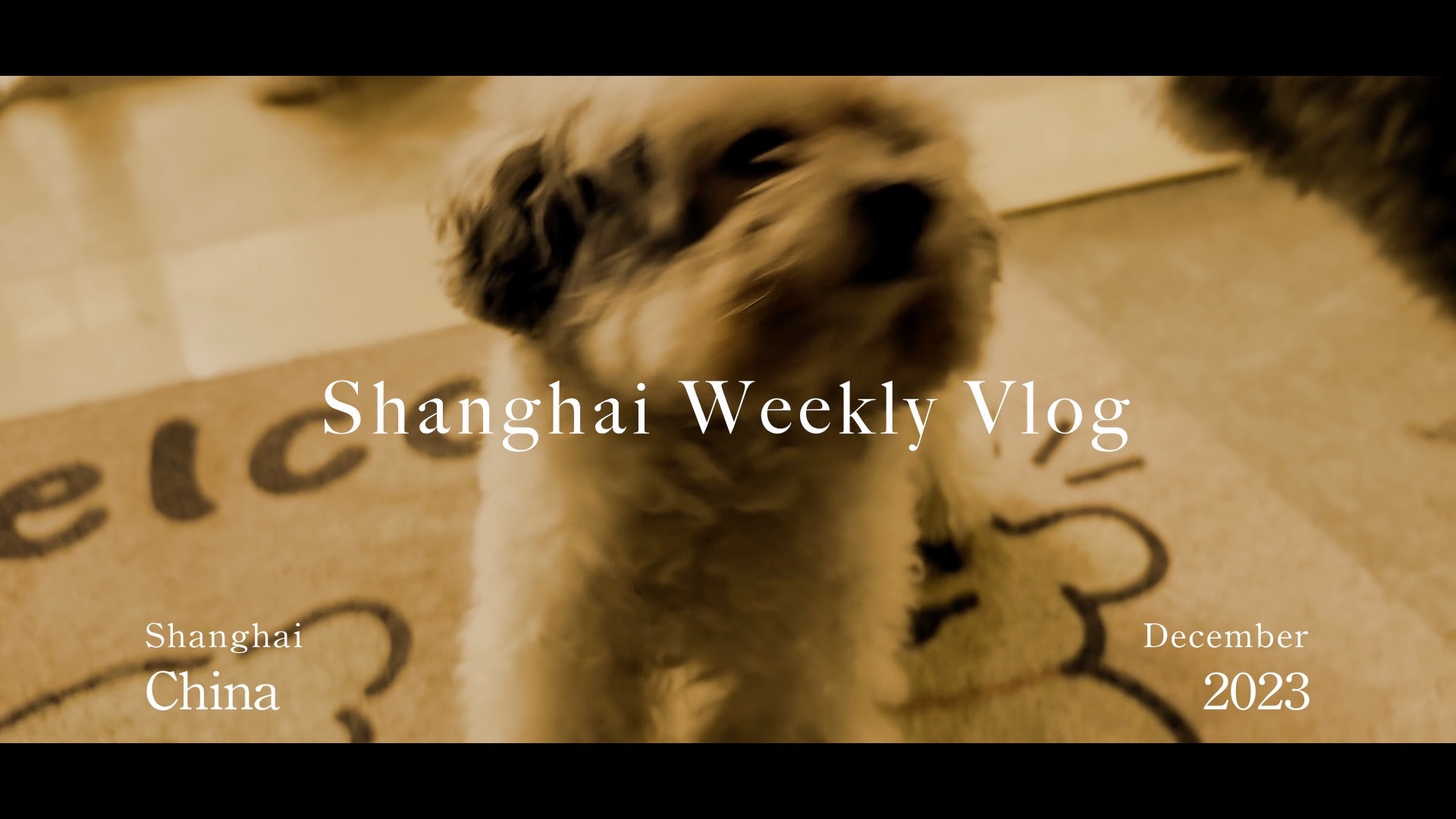 Shanghai Vlog  上海Vlog  上海打工仔日记  流水账/工作日常/一周带饭/盒马/拼多多淘宝开箱/菜煎饼好好吃啊/美甲/布朗尼/烘焙日常哔哩哔哩bilibili