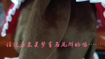 漫踪灵梦fumo终于到啦，我也是有fumo的人了QwQ（明明名字叫蕾米却先买了灵梦的屑）