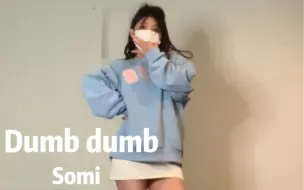 Download Video: Somi-Dumb Dumb翻跳