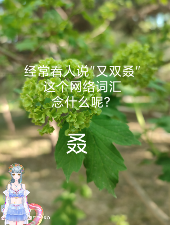 网络常用语"又双叒"的叒字怎么读?疑难字解读哔哩哔哩bilibili