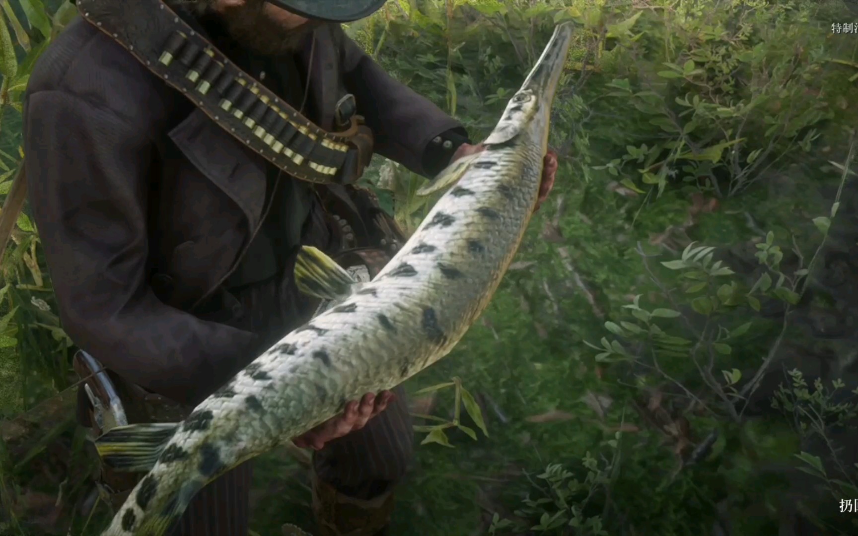 传说长吻雀鳝太无聊不要点进来