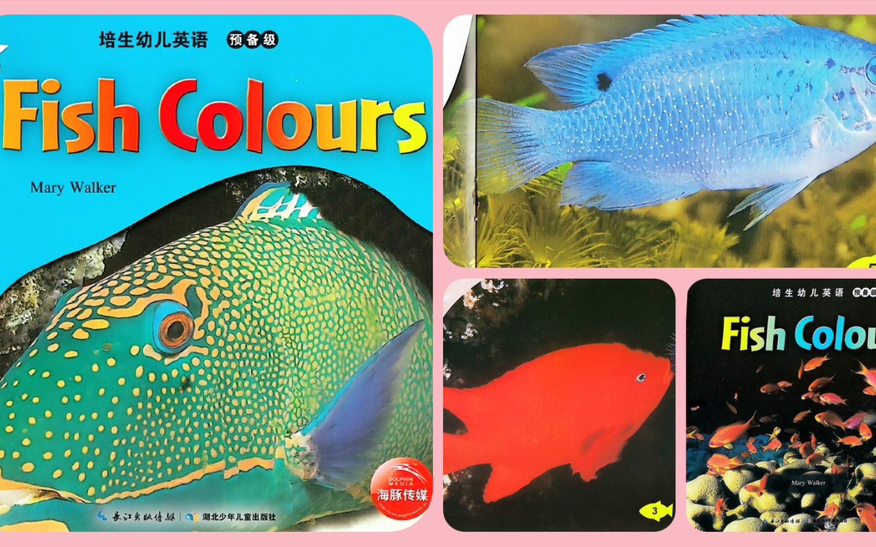 fish colours《魚的顏色》英文繪本閱讀