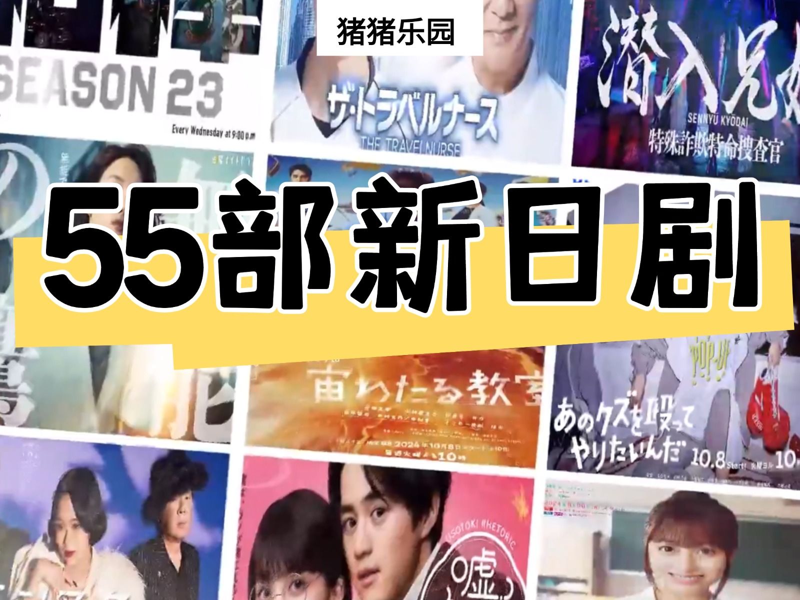 桥本环奈、松重丰、山崎贤人……24年55部秋季档新日剧看点全介绍(附资源指路)哔哩哔哩bilibili