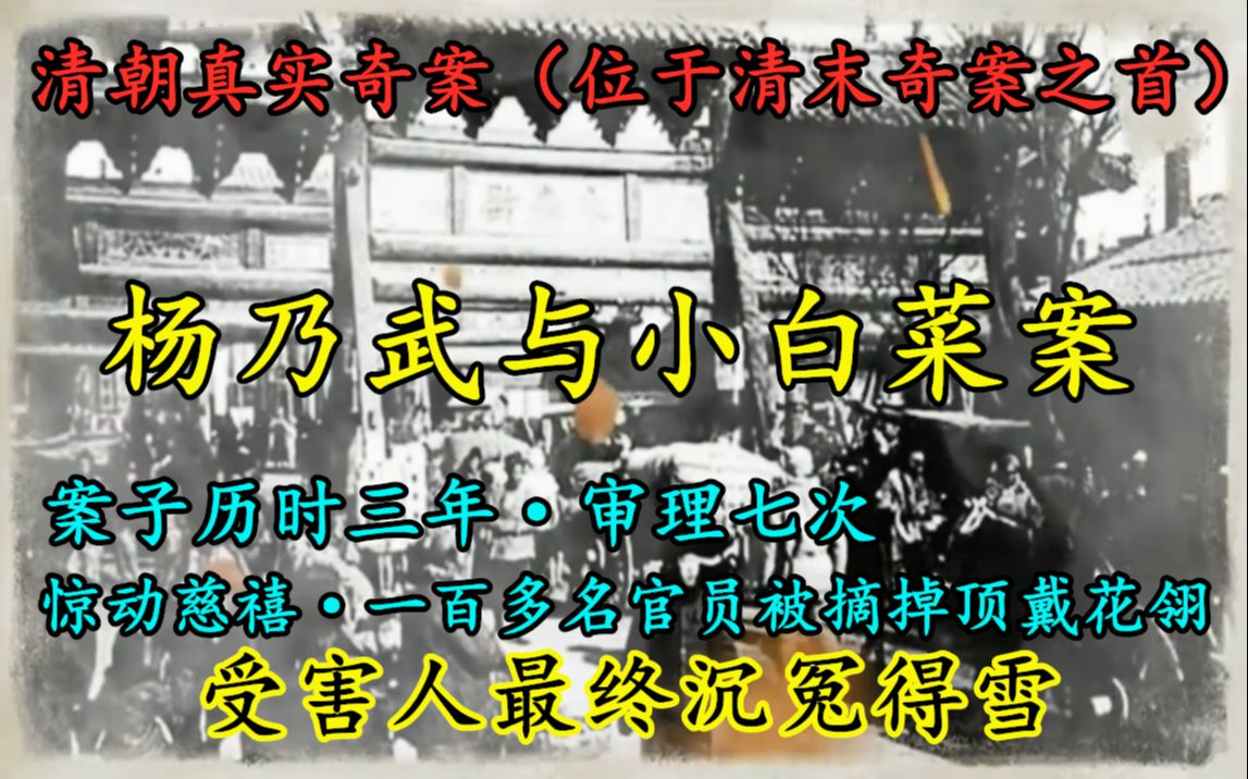 清朝真实奇案(清末奇案之首):男子被诬陷,案子历时三年,审理七次,惊动慈禧,百名官员被摘顶戴花翎,最终沉冤得雪哔哩哔哩bilibili