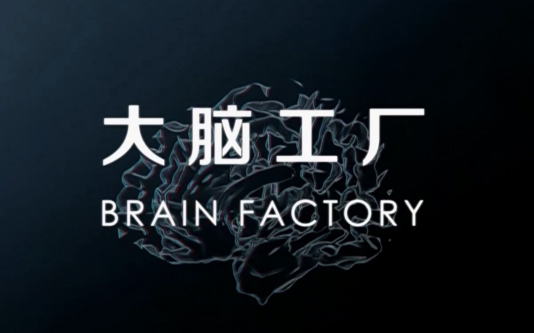 [图]【央视译制】大脑工厂 国配中字 Brain Factory (2017)