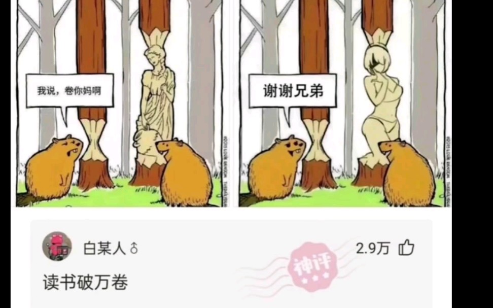 网上冲浪的沙雕图片哔哩哔哩bilibili