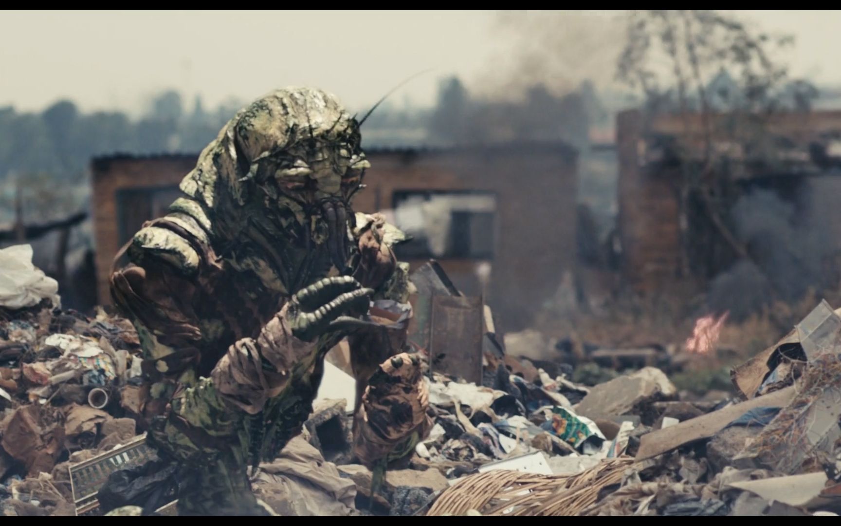 外星人意外来到地球,20年繁殖几百万只.科幻《第九区》
