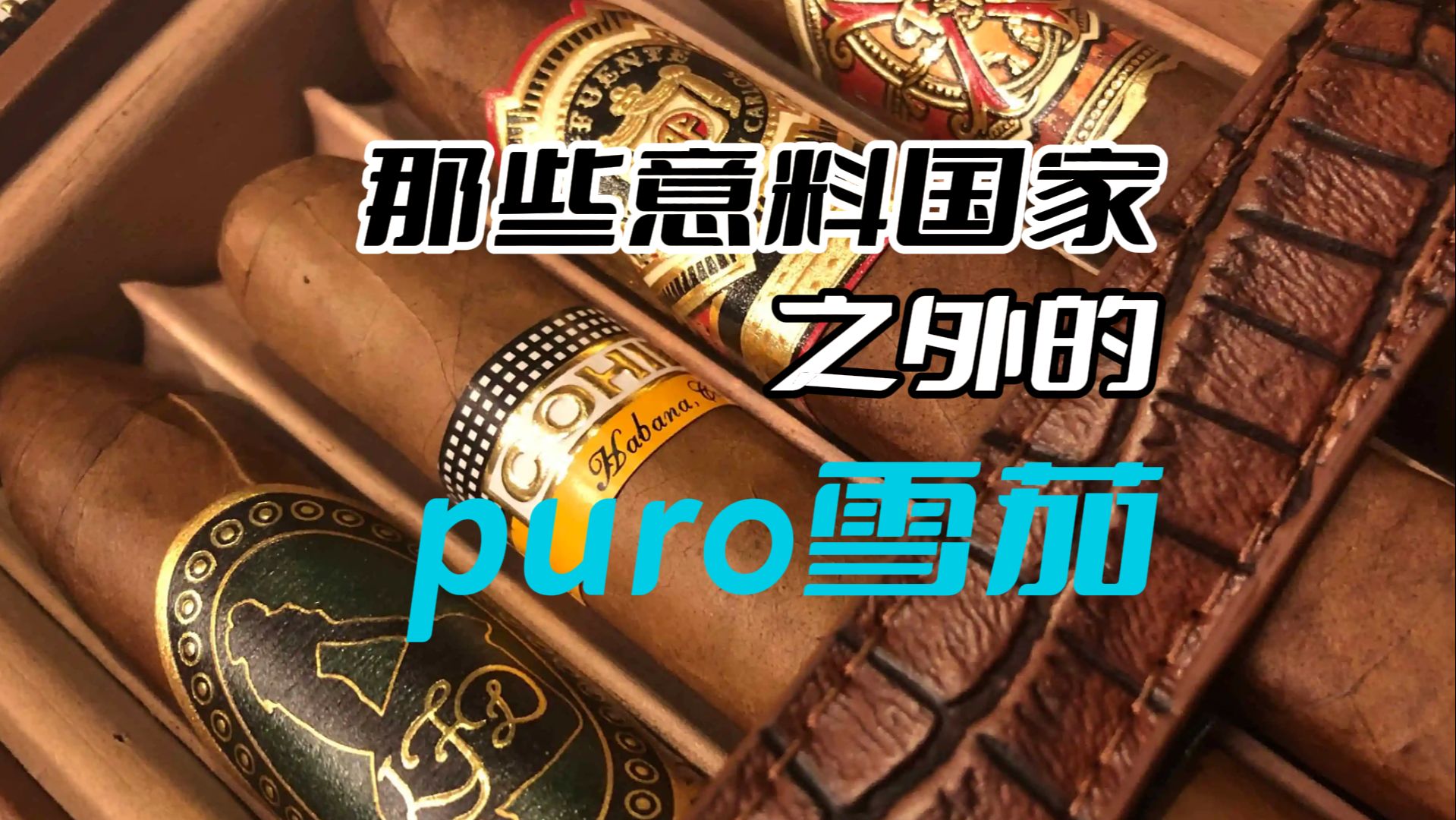 那些意料之外的puro雪茄哔哩哔哩bilibili