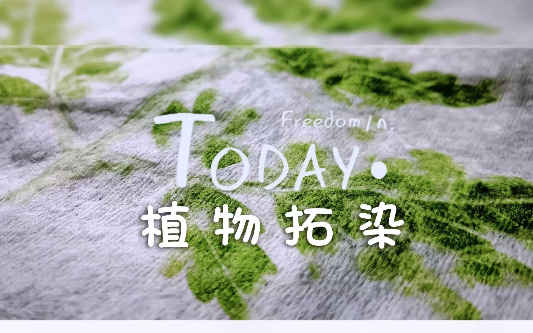 用植物拓染扇面也太美了吧