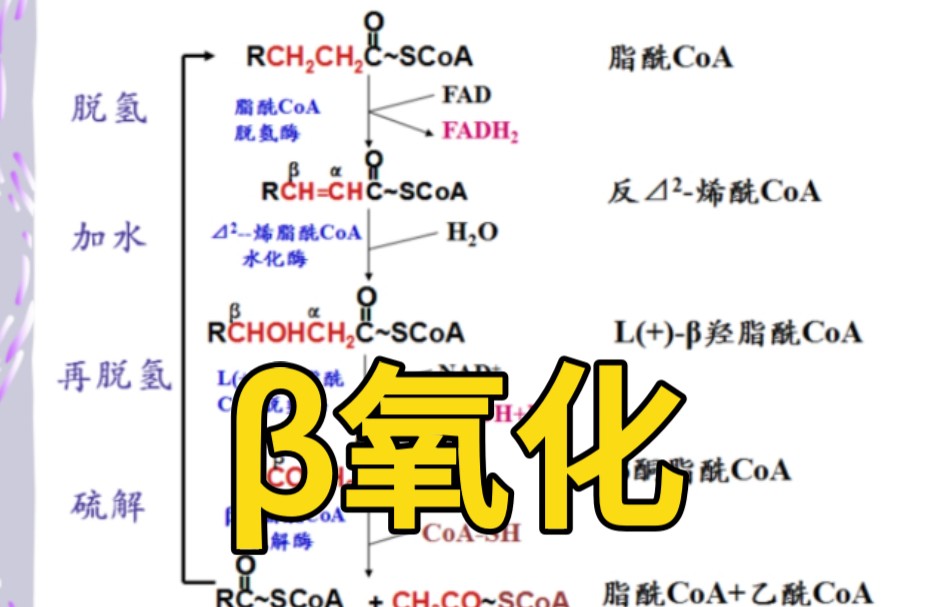 mn2o7为什么是酸性氧化物