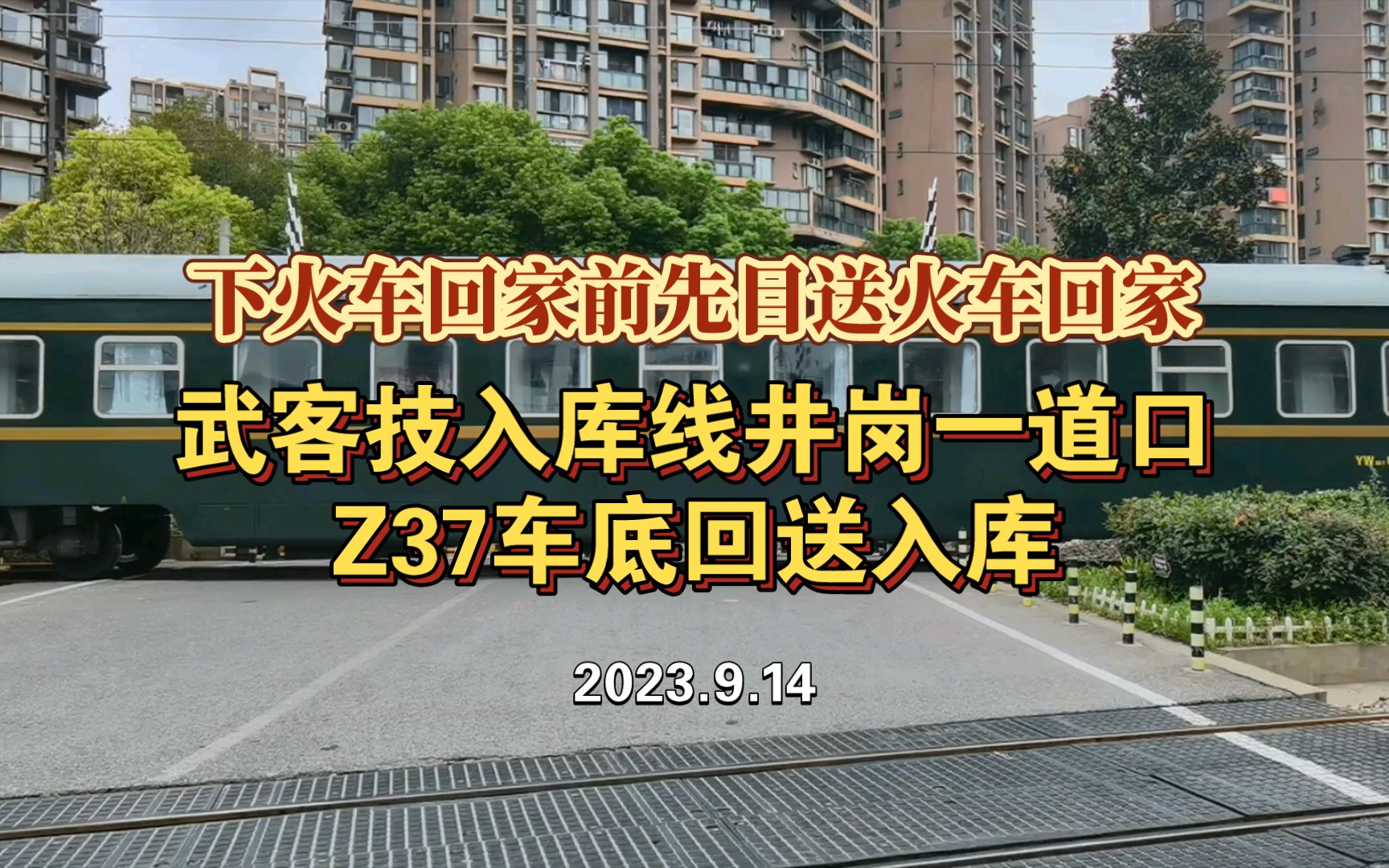 下火车回家前先目送火车回家:武客技入库线井岗一道口Z37车底回送入库(20230914)哔哩哔哩bilibili