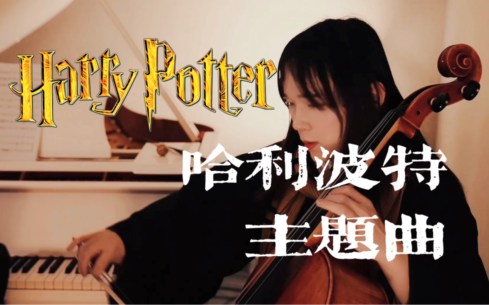 灵魂旋律《哈利波特》海德薇主题曲 小天使陪你度过每一个难关 hedwig