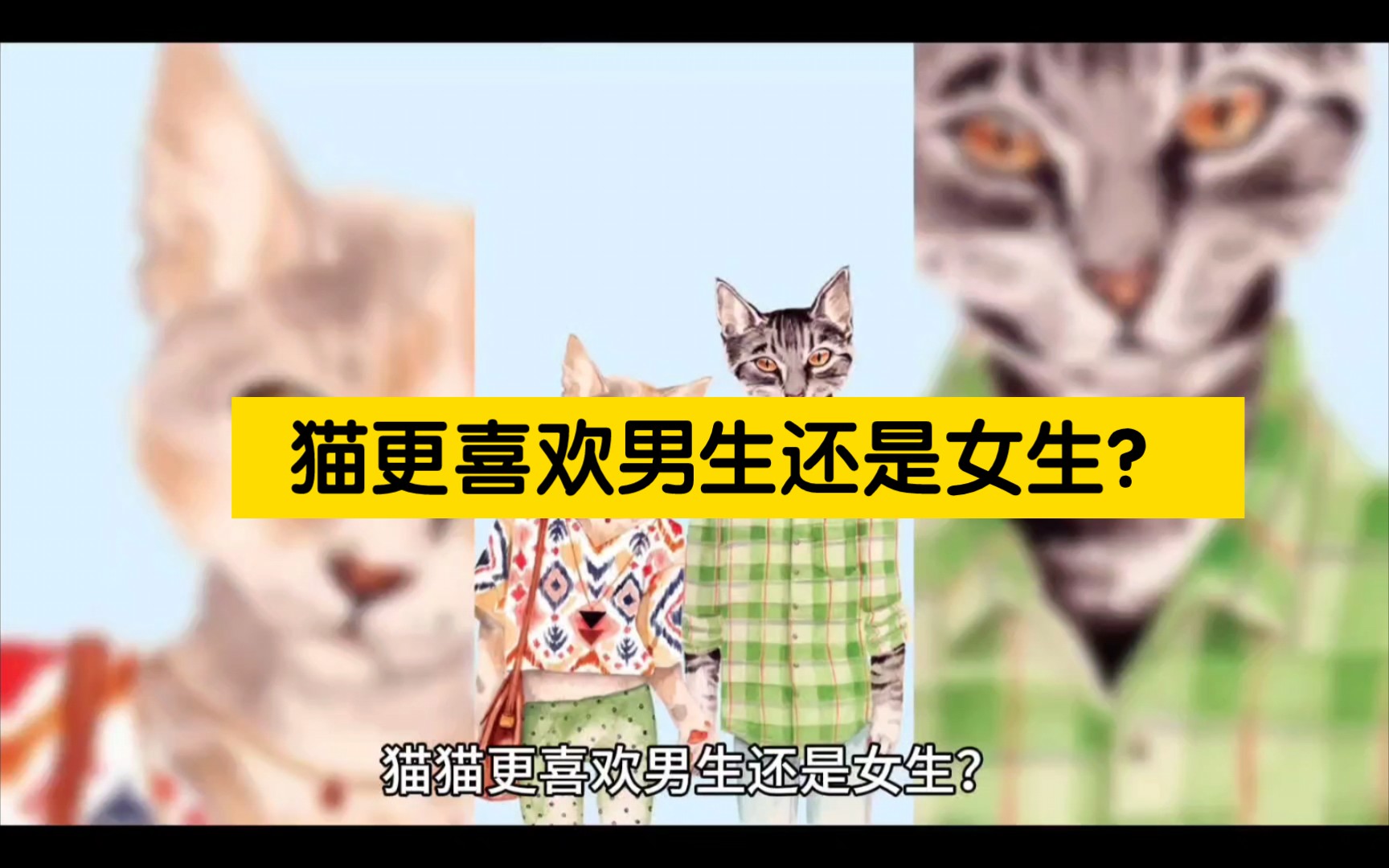 [图]【猫知识】猫更喜欢男生还是女生？