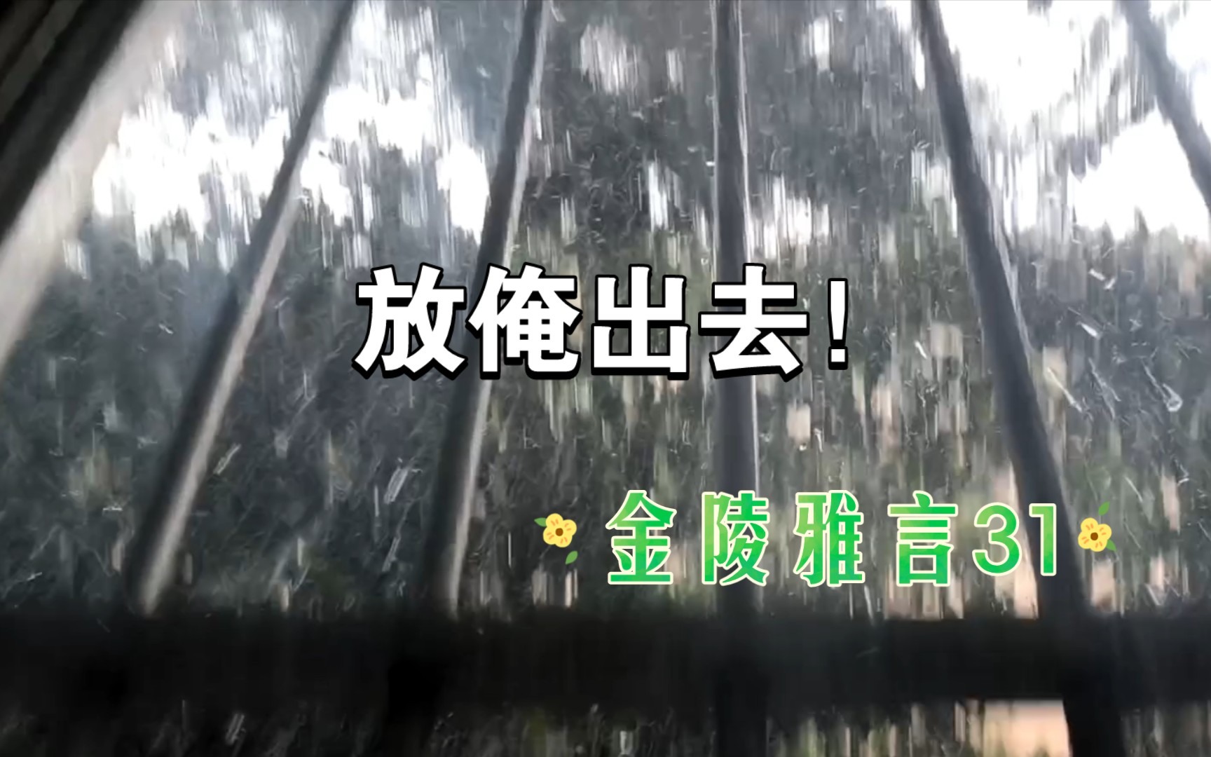『金陵雅言』雨后小故事