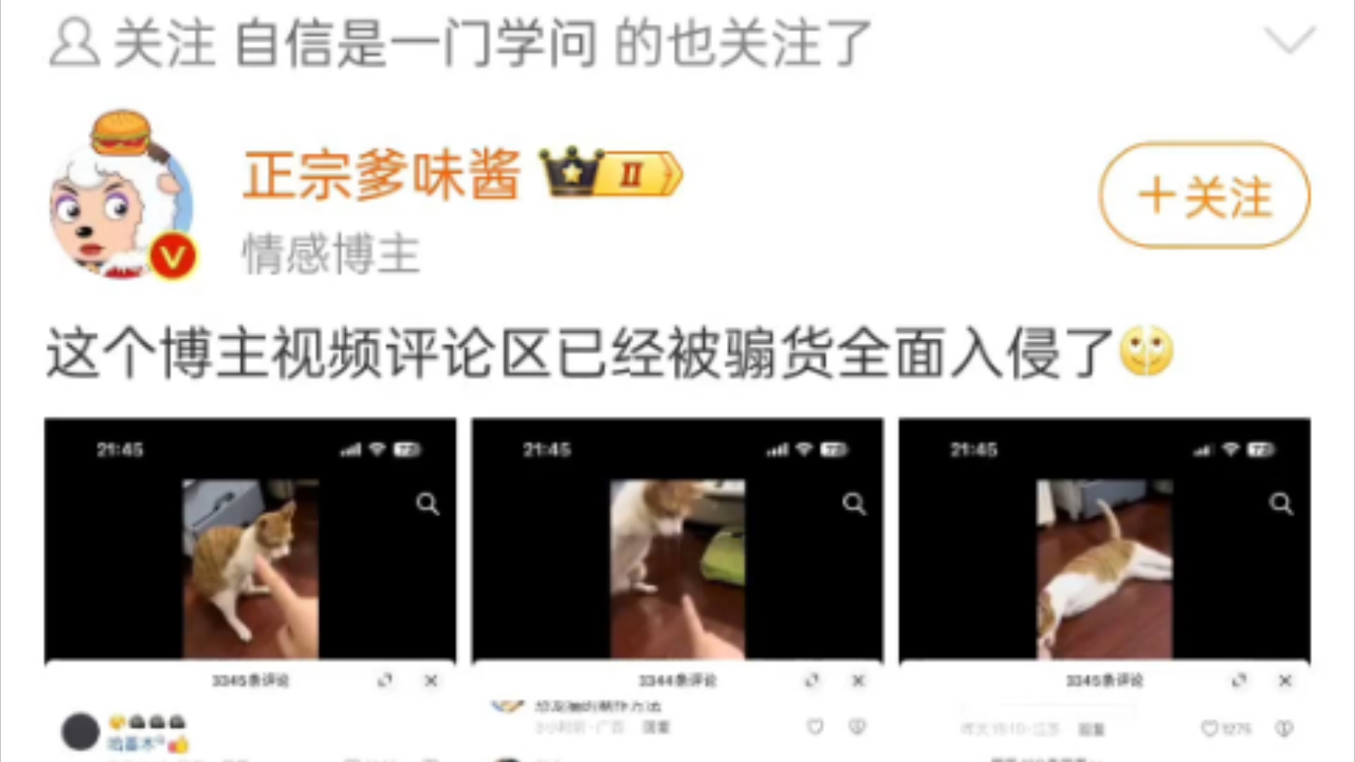 刷到了拉黑我的微博女权博主“正宗爹味酱”哔哩哔哩bilibili