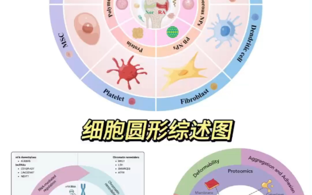 科研绘图色彩搭配图片