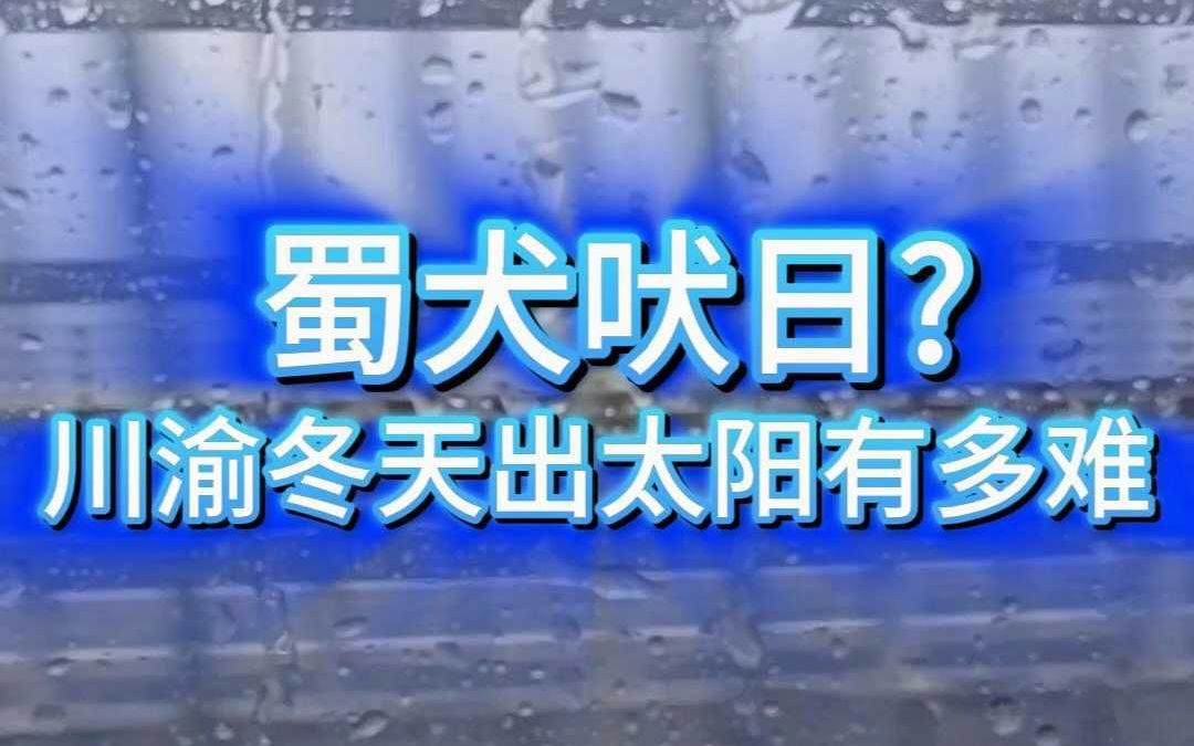 蜀犬吠日?川渝冬天出太阳有多难哔哩哔哩bilibili