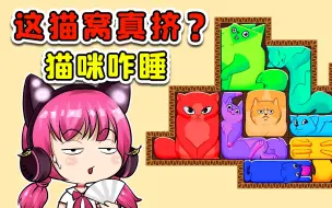 下载视频: 帮小猫安排床位？这猫窝真拥挤，挨肩擦膀的能入睡？