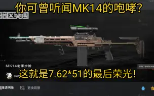 Descargar video: 你可曾听闻MK14的咆哮？这就是7.62*51的最后荣光！