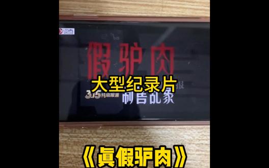 大型纪录片《真假驴肉》哔哩哔哩bilibili