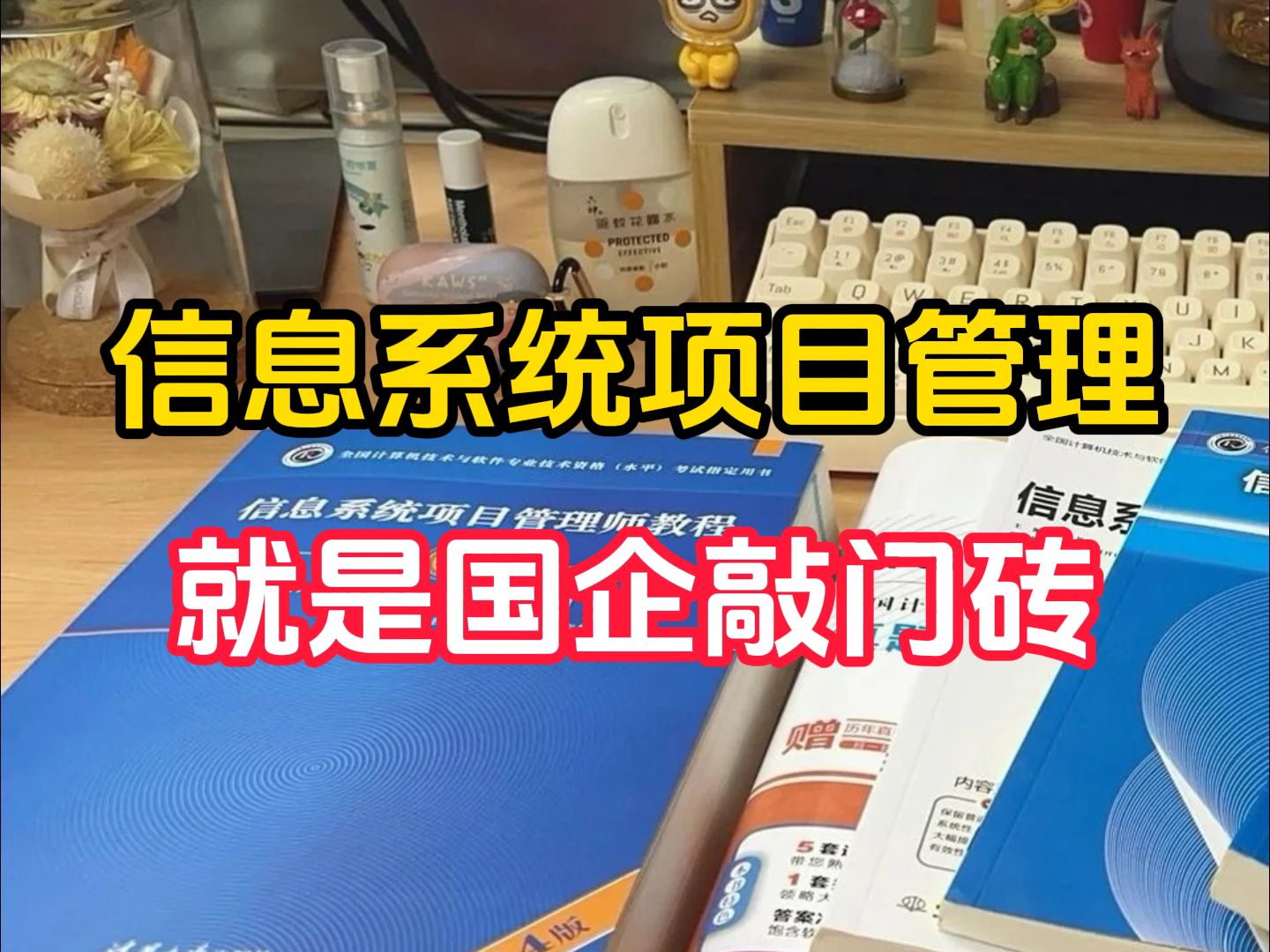 程序员在私企工资是挺高的,但感觉我还是更想要稳定...考个信息系统项目管理去国企吧!哔哩哔哩bilibili