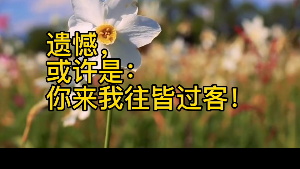 相思或许是不删不连不打扰遗憾或许是你来我往皆过客