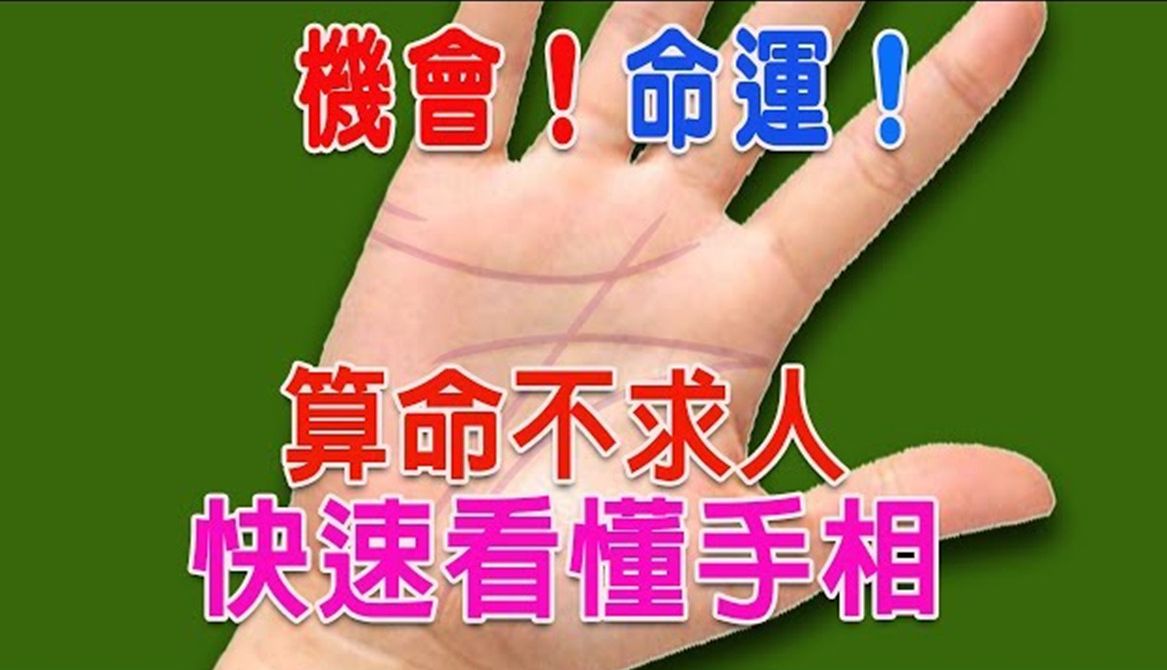 【算命不求人】快速看懂手相(一)三大纹路、八大丘、指节代表的性格哔哩哔哩bilibili