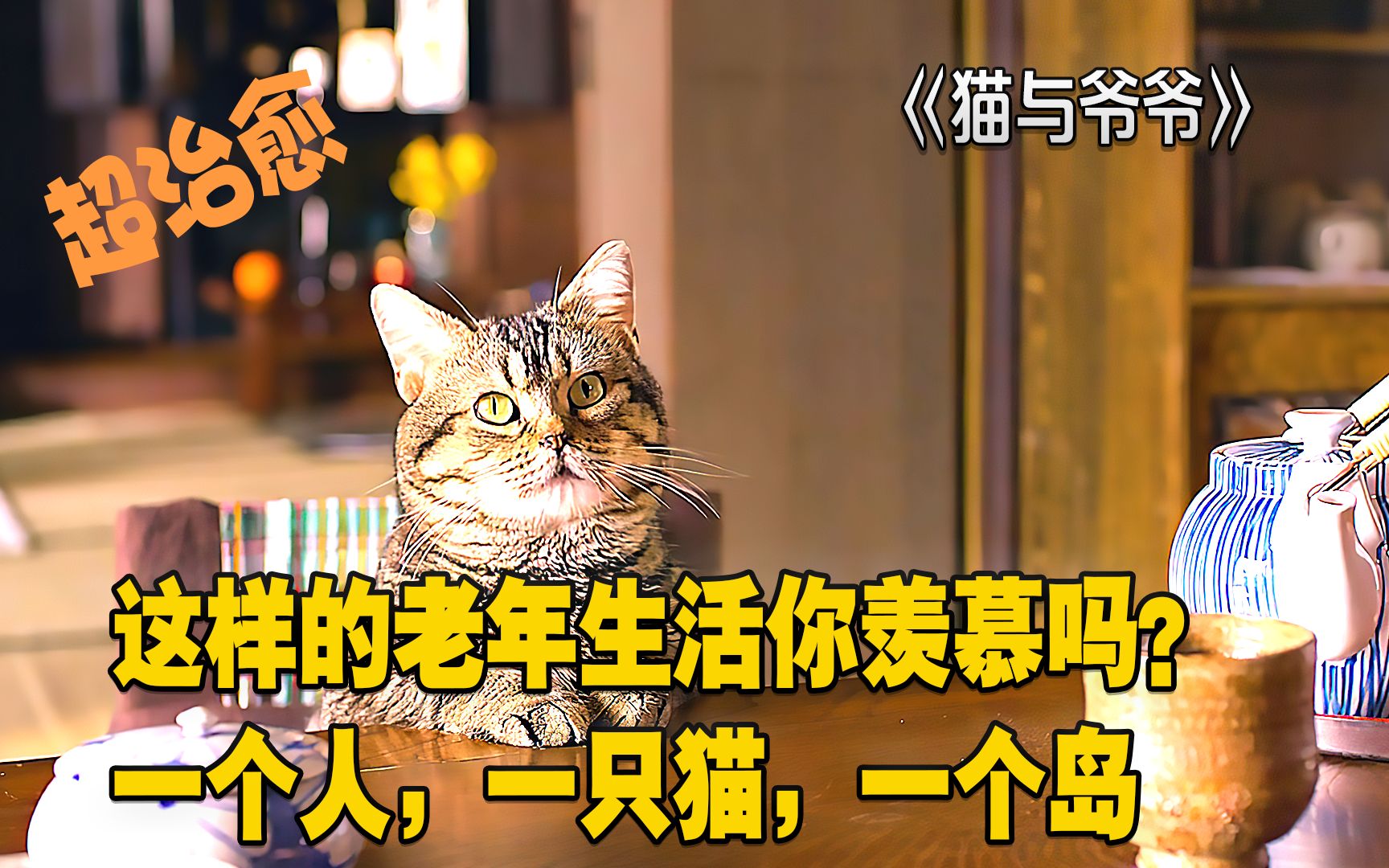 [图]猫与爷爷：这样的老年生活你羡慕吗？一个人，一只猫，一个岛