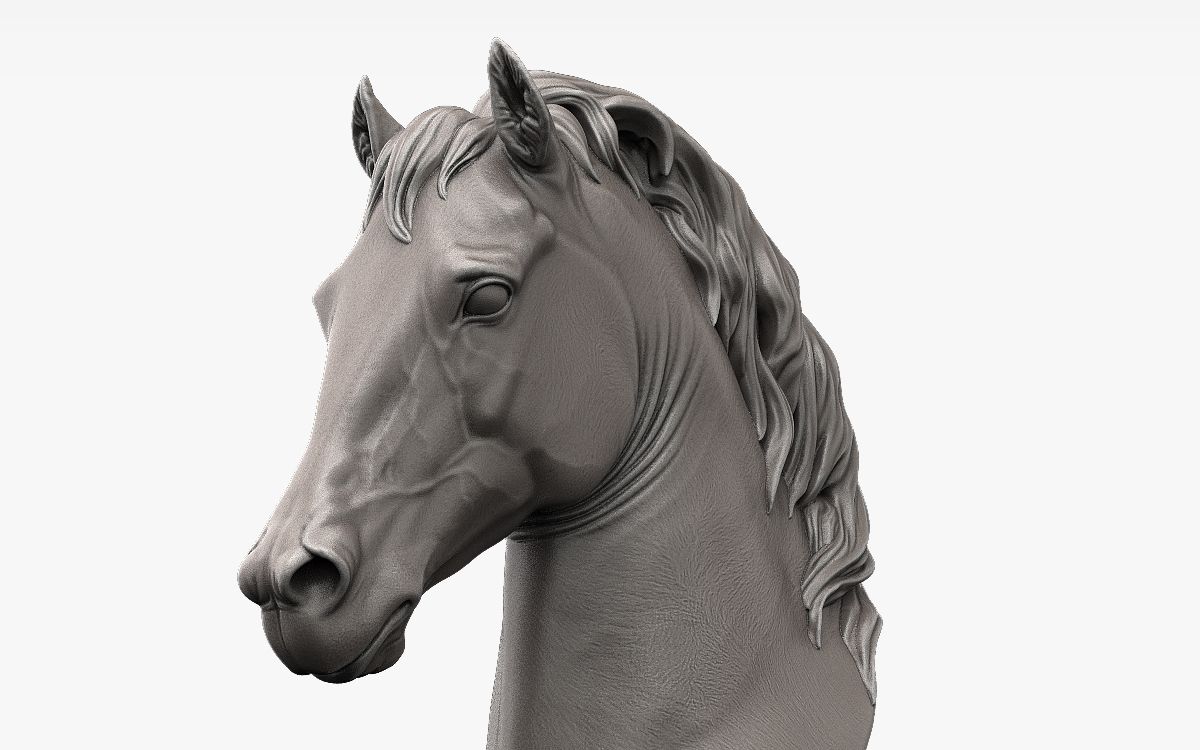 zbrush女头石膏头像雕刻参考资料,zbrush雕刻资料