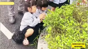 Скачать видео: 女子嫁到潮汕生了三个女儿，公婆天天围着孙女转，儿子已经不香了