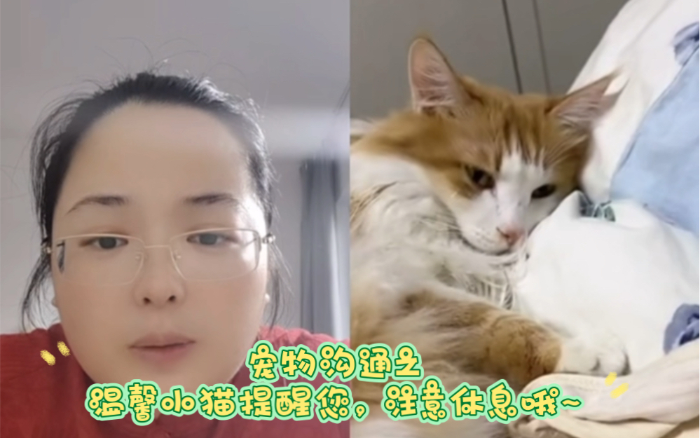 [图]小猫咪：身为一个雌性人类工作那么努力好心疼。