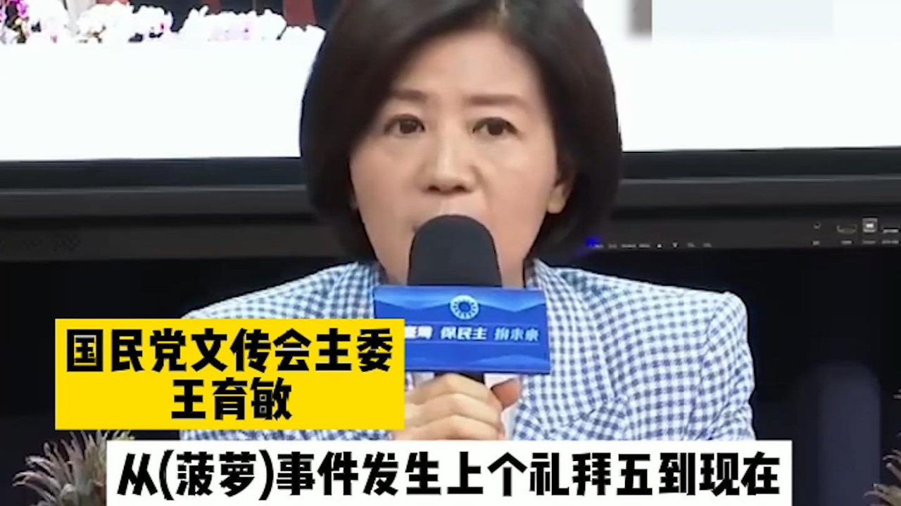 菠萝事件至今从未发声,蓝营质疑:这个“农发委”到底在做啥?哔哩哔哩bilibili