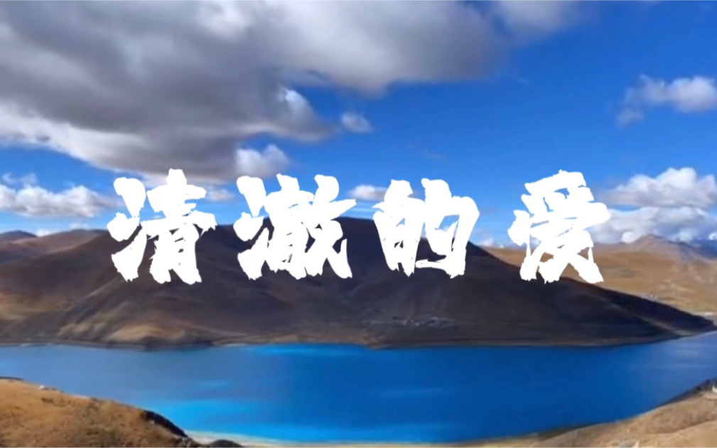 幼稚园杀手重磅《清澈的爱》feat.