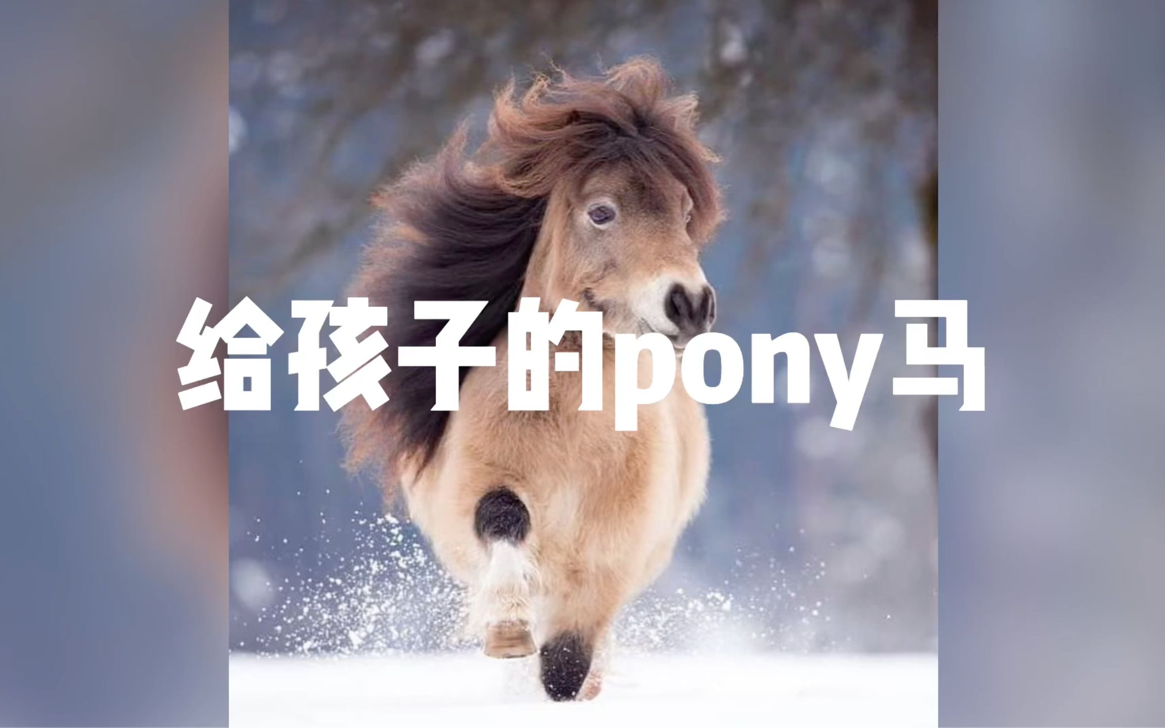 [图]【嗑叔】给孩子的pony马～