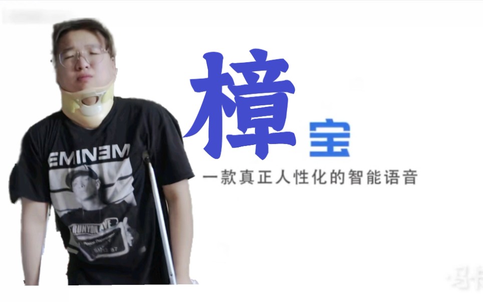 q宝小杨国内第一台樟脑丸教父牌智能语音机器人