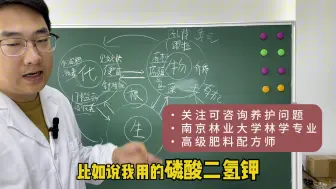 Video herunterladen: 要植物爆根？别忘了物理肥力！