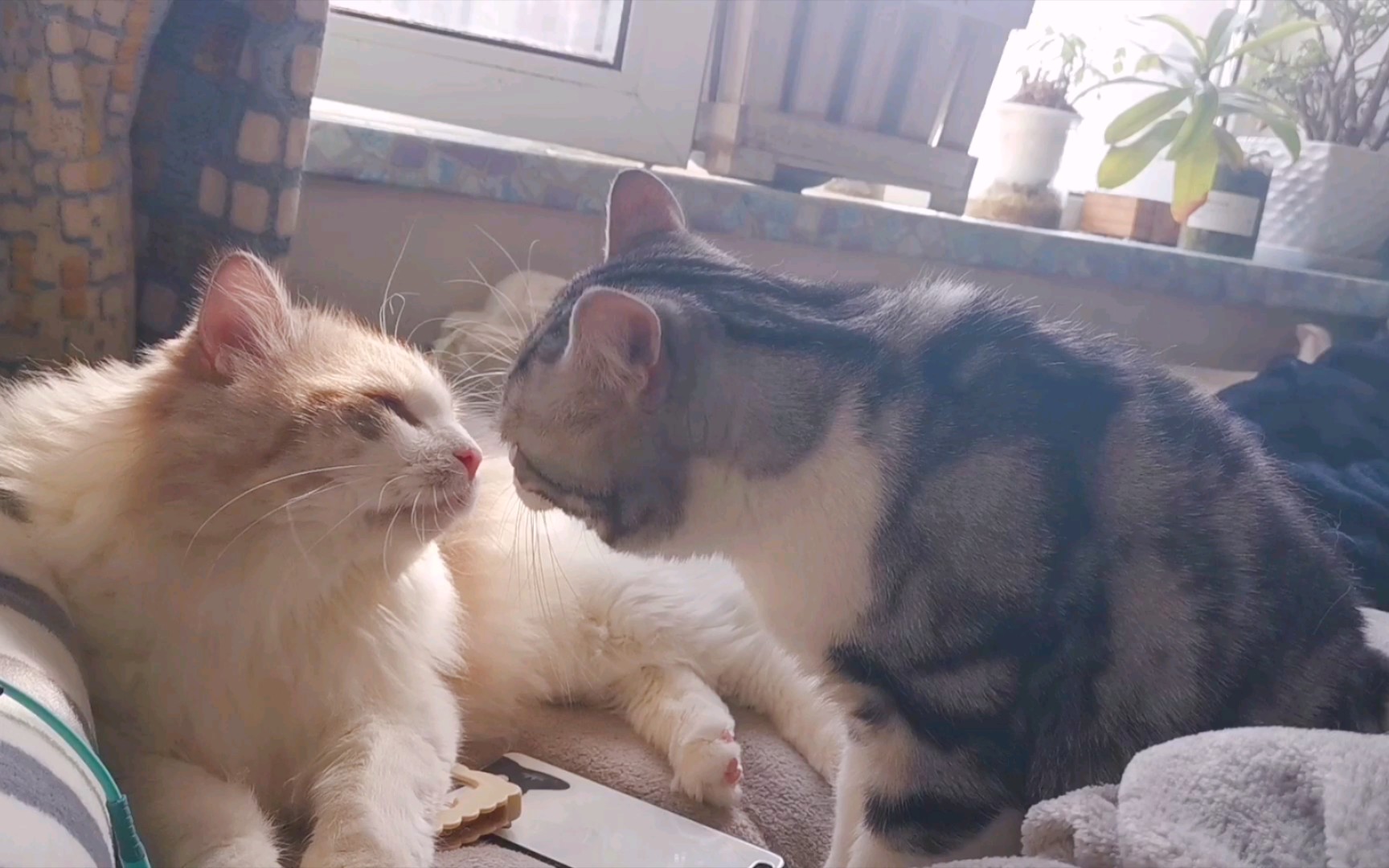 腻腻歪歪的午后