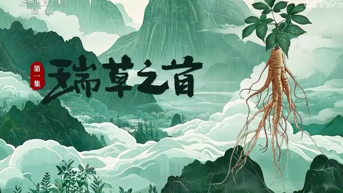 《本草流芳》第一集 瑞草之首 人参