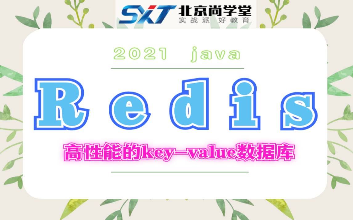 【Redis数据库】Redis实战精品教程redis数据库入门到精通视频教程高性能的keyvalue数据库NoSQL数据库Cluste哔哩哔哩bilibili