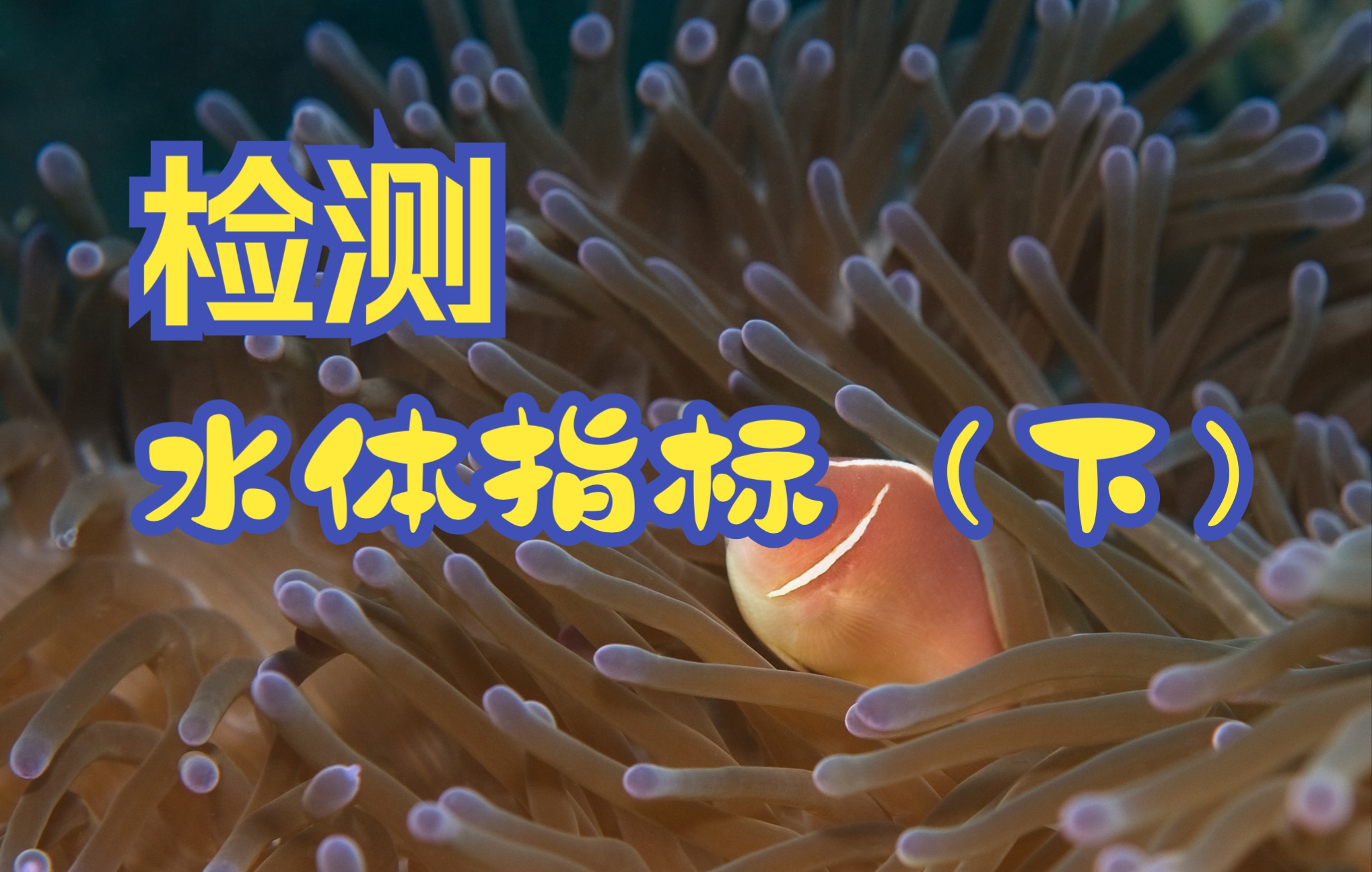 玩淡水海水缸理论基础—水质检测下 磷酸盐 重金属及检测手段哔哩哔哩bilibili