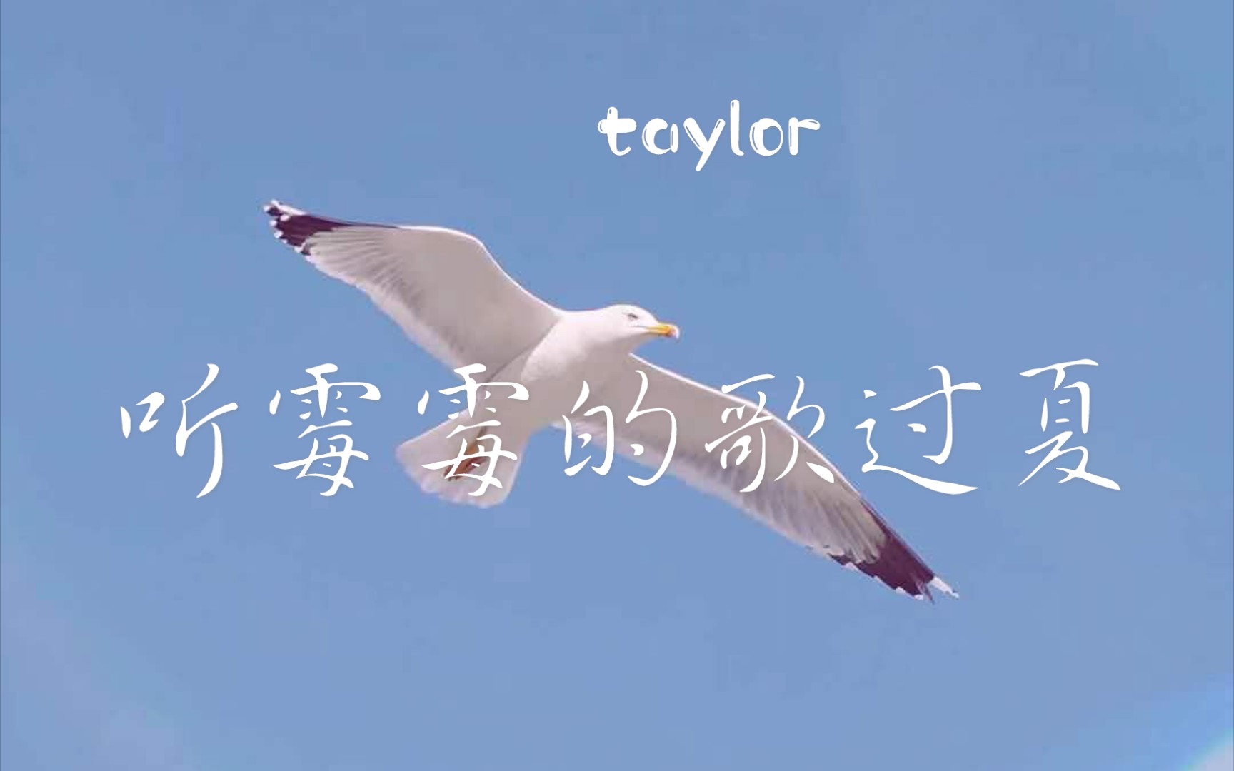 水浪的白噪音 霉霉的空灵声音