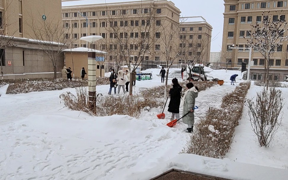 [图]天山大学：雪域，进入白色的季节