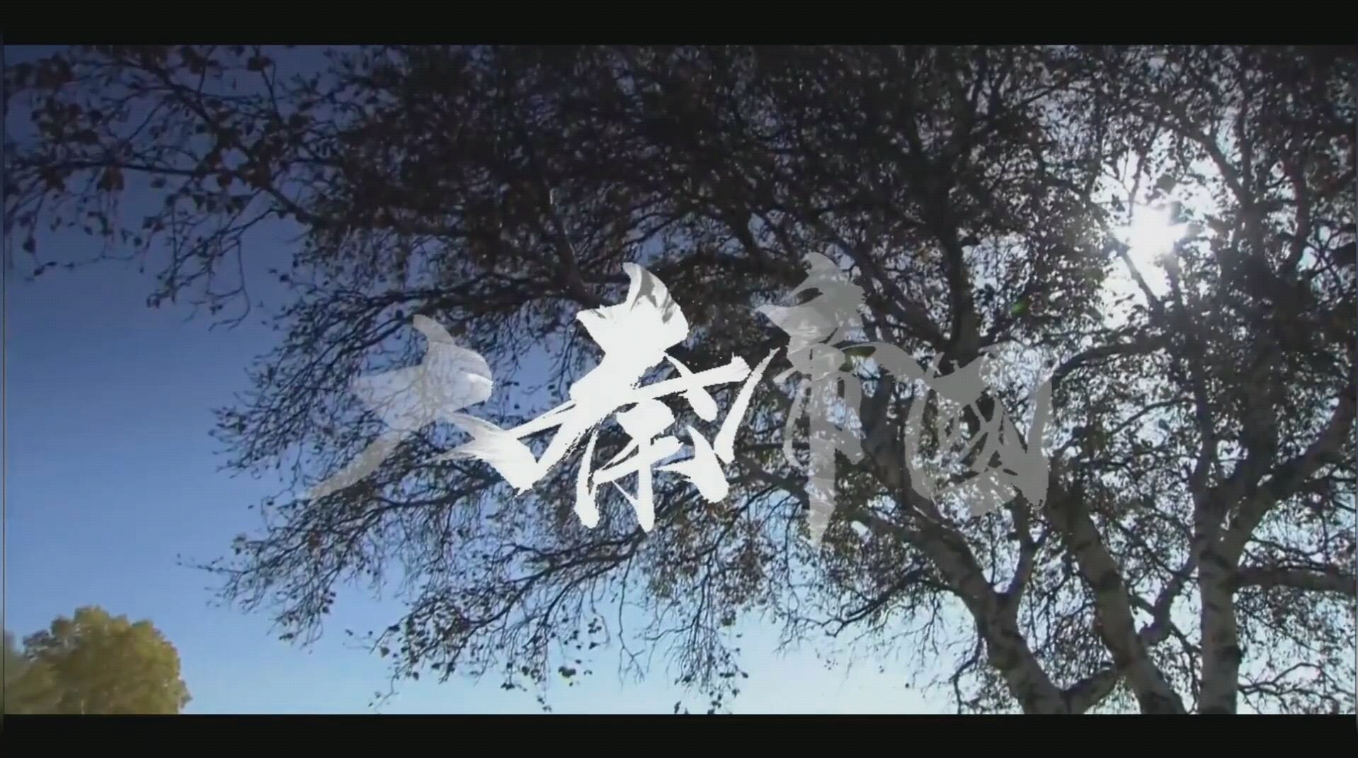 于后千秋万世每户人家窗台上我大秦明月必能朗照之