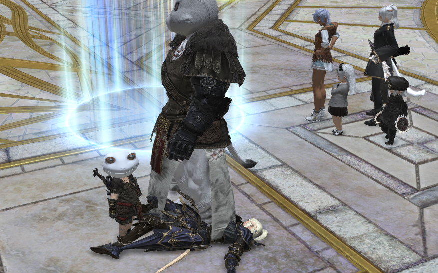 e10s开荒被抬过记录 龙骑倒地视角_ff14