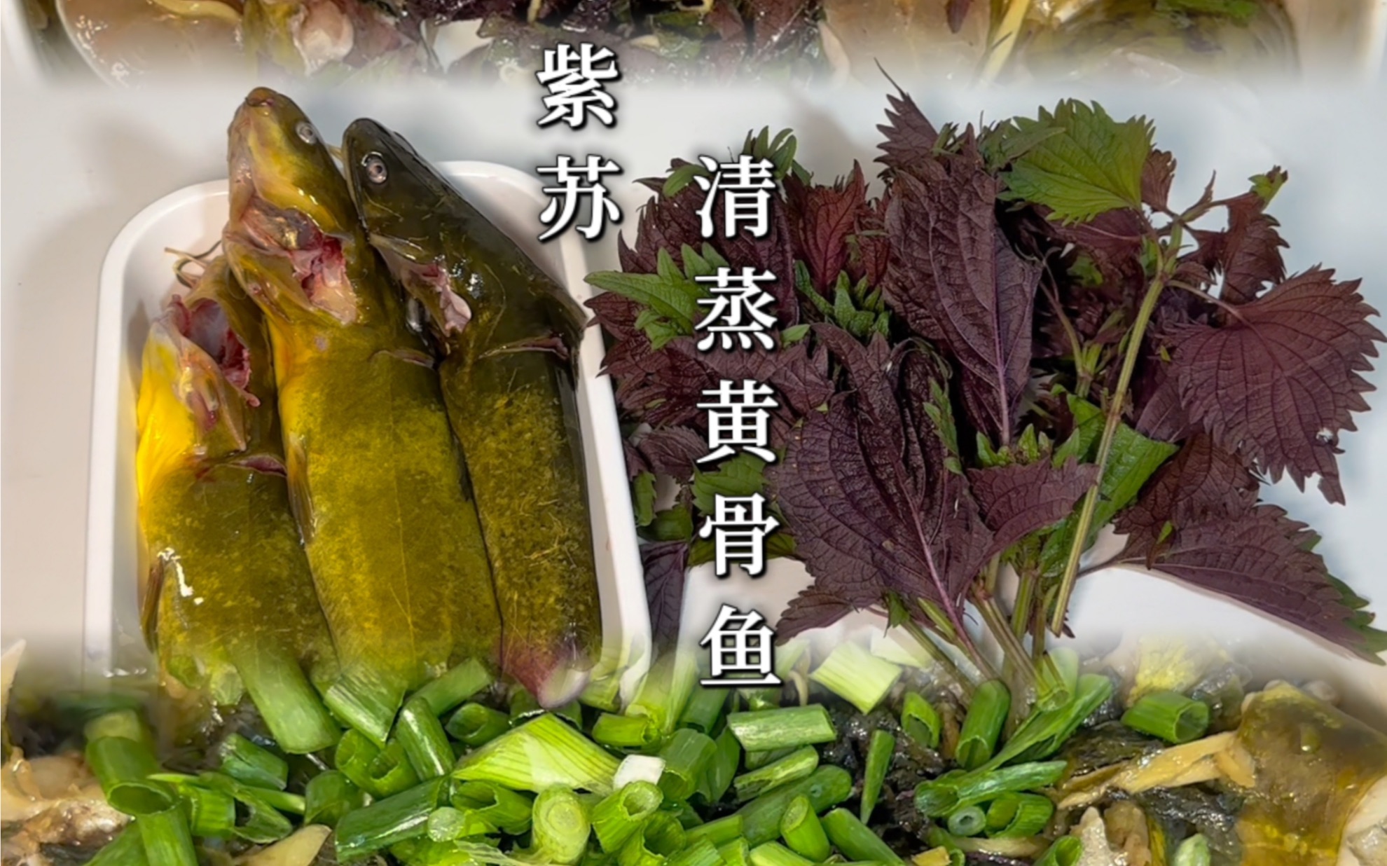 紫苏清蒸黄骨鱼