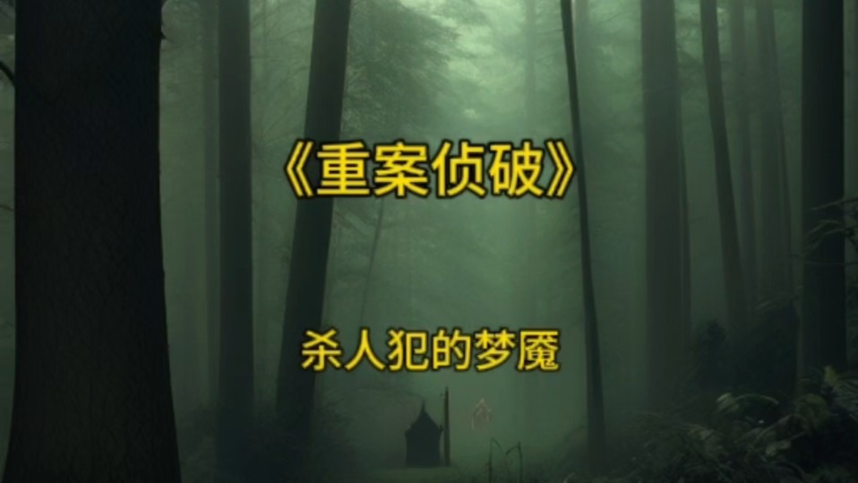 大案重案要案侦破,杀人犯的梦魇