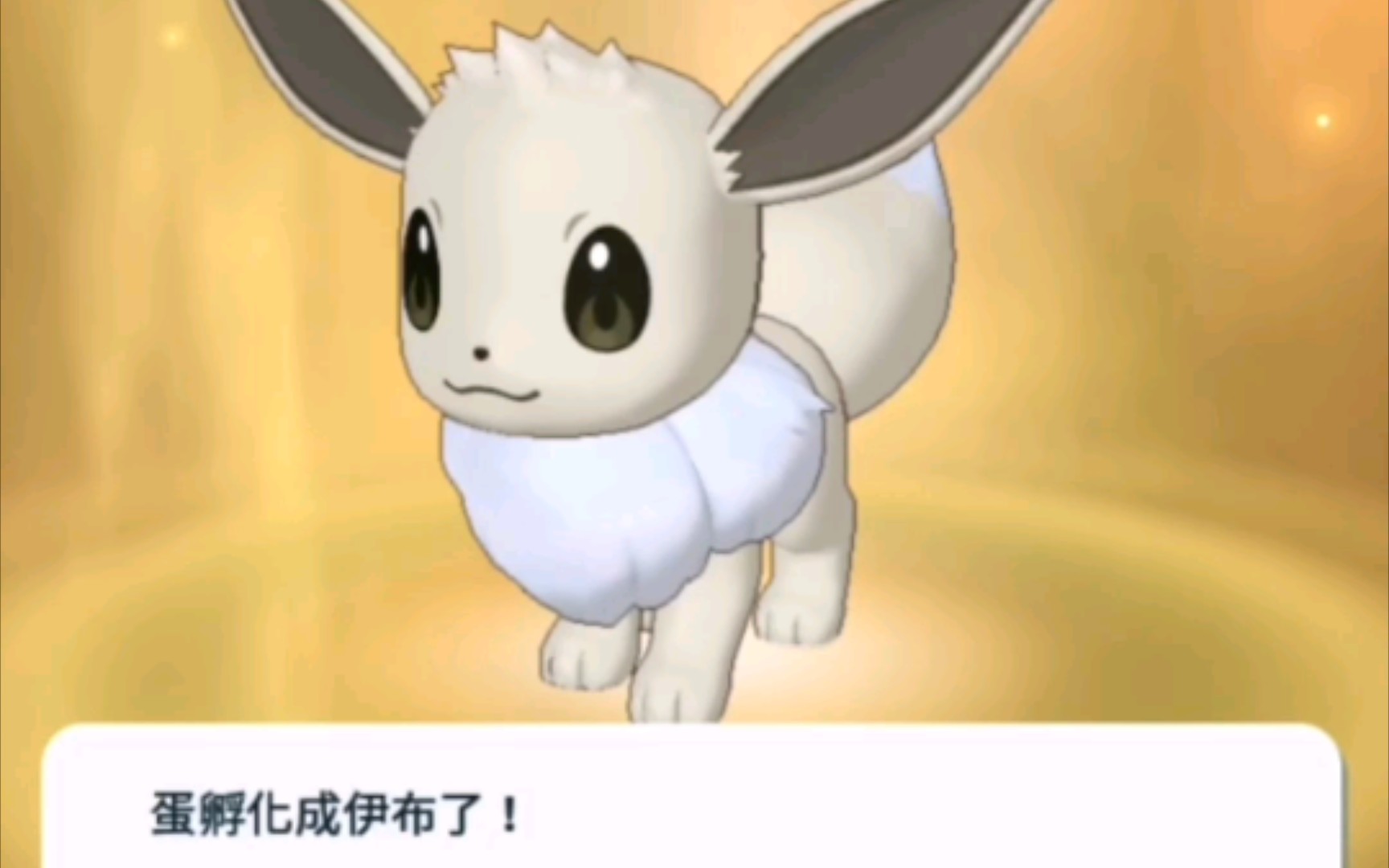 【宝可梦大师ex】伊布日孵蛋活动,异色伊布来了