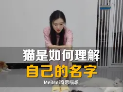 Download Video: 猫是如何理解人说话的？