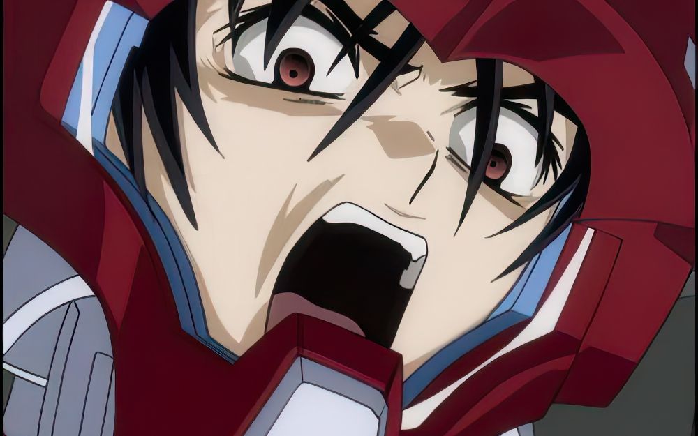 【模型】愤怒的真飞鸟【展示】